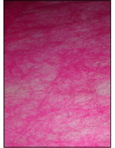 INTISSE fushia INTISSE fushia